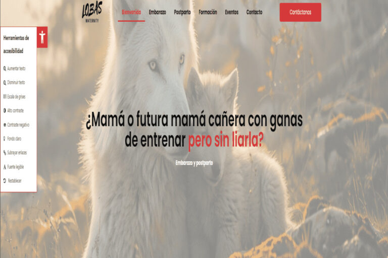 imagen declaracion accesibilidad 1